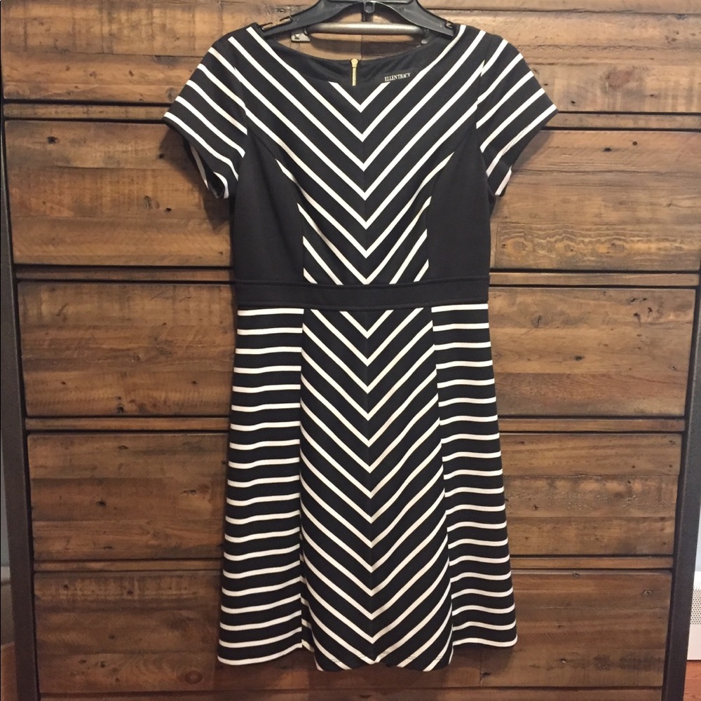 NWOT! Ellen Tracey chevron patterned A-line dress